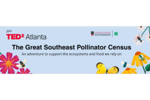 Why counting pollinators could help save the world Why counting pollinators could help save the world