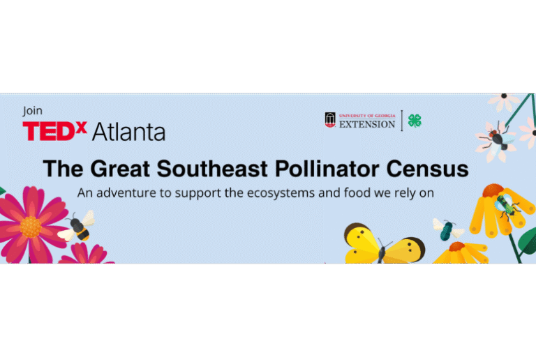 Why counting pollinators could help save the world
