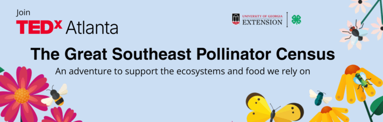 Why counting pollinators could help save the world
